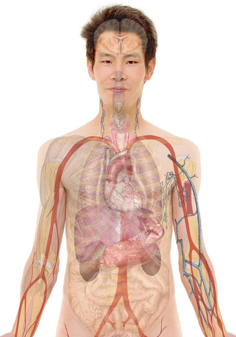 Mind-body connection