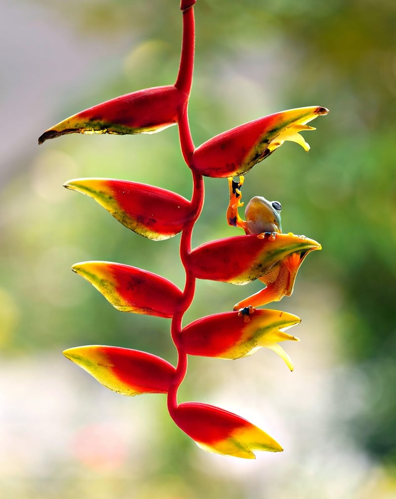 Nature